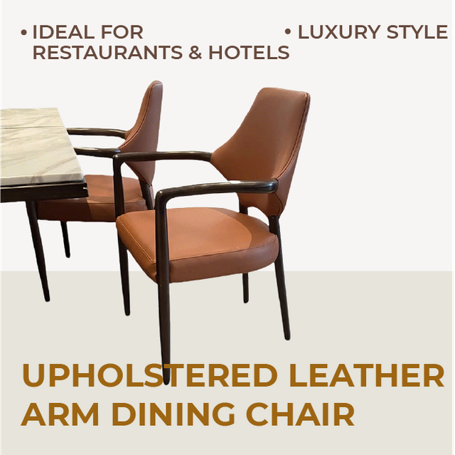 Solid Wood Frame Modern Dining Chairs for Restaurant
